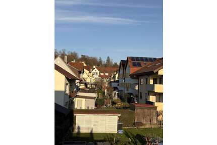 Wohnung zum Mieten in Tübingen 2.580,00 € 145 m²