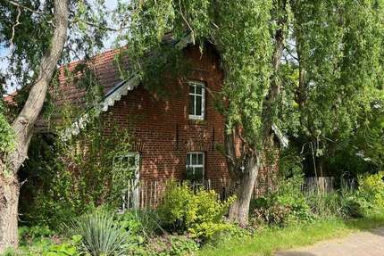 Haus zum Kaufen in Bunde 179.000,00 € 81 m²