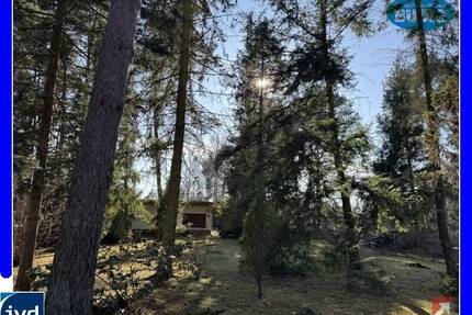 Baugrundstück mit Südausrichtung - mit kleinem Sommerhaus bebaut - Grünheide Hangelsberg