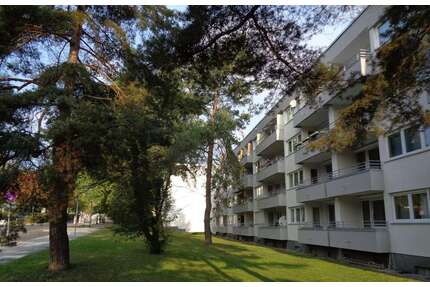 Wohnung zum Mieten in Wiesbaden 900,00 € 81.3 m²