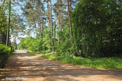 Ein teilbares Baugrundstück in der Waldgemeinde Borkheide
