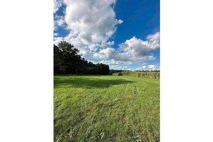 Landwirtschaftliches Grundstück in Reichenbach Hermdorf - Dietramszell