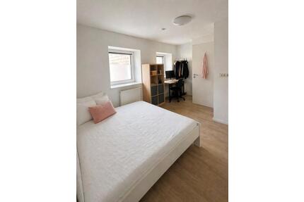 Helles, modernes 1-Zimmer-Apartment in Vallendar (Nur WHU Studis)