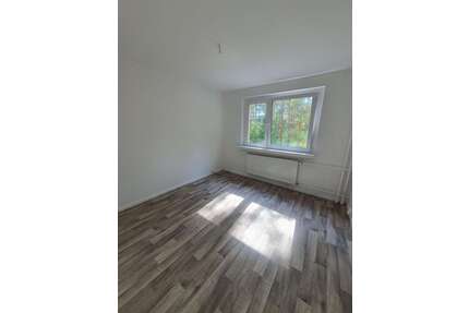 Wohnung zum Mieten in Walddrehna 528,00 € 66 m²