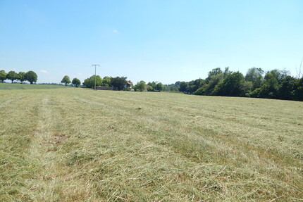 Landwirtschaftlicher Grund als Geldanlage - in 84529 TittmoningSüdbayern, Nähe Leitgeringer See