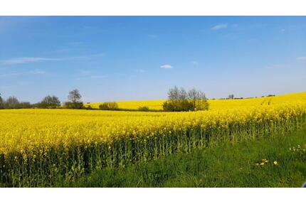 Ferienwohnung zwischen den Meeren - Süderbrarup