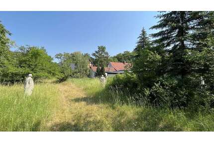 Grundstück zu verkaufen in Kemberg 500.000,00 € 5033 m²