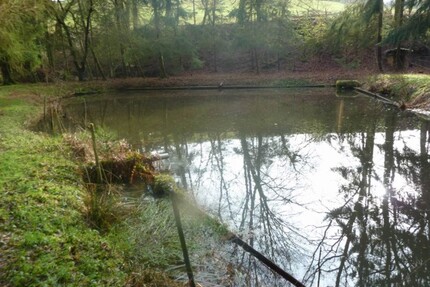 Teichanwesen mitten im Wald Südwestpfalz - Biedershausen