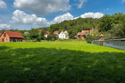 Einfamilienhaus mit viel Fläche, Nebengelass und Waldgrundstück - Bad Bibra