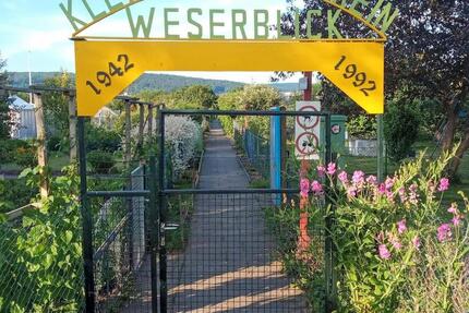 Freie Schrebergärten in Gartenkolonie - Hameln Kernstadt