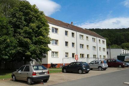 san. 1Zi.-Whg. mit Wanne, Pkw-Stellpl. in Sgh. Großleinungen - Sangerhausen