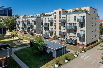Wohnung zum Mieten in Braunschweig 450,00 € 38.49 m²