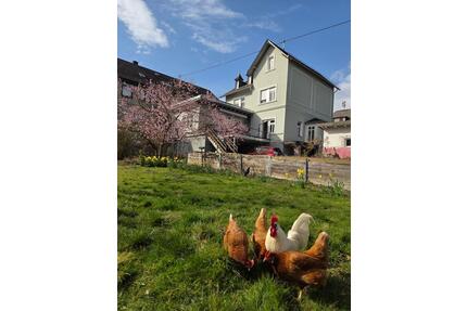 Ruppach-Goldhausen: Stilvolles Haus mit gr. Garten oder Bauplatz - Nentershausen