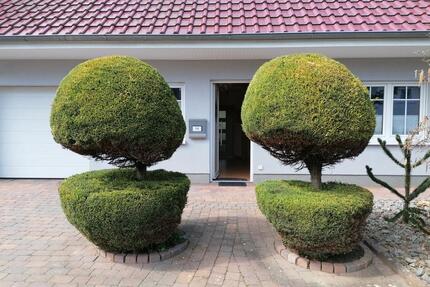 Gepflegtes Einfamilienhaus in Bissendorf Mitte