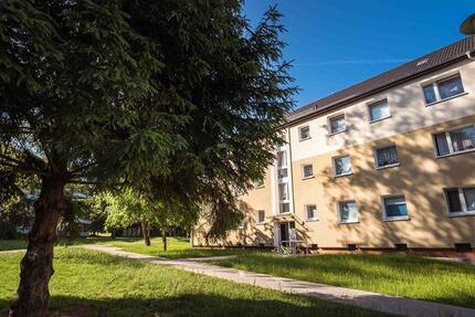 Auf gute Nachbarschaft: günstige 1-Zimmer-Single-Wohnung - Geesthacht