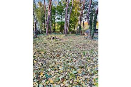 Grundstück in Königs Wusterhausen 5.544,00 € 1031 m²