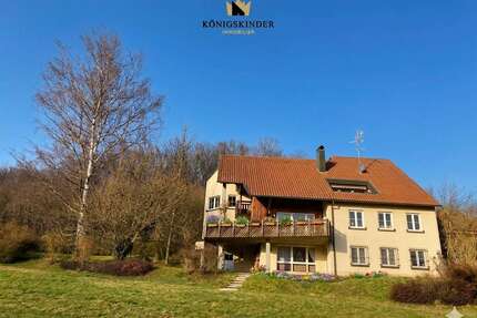 Haus zum Kaufen in Wangen 995.000,00 € 447 m²
