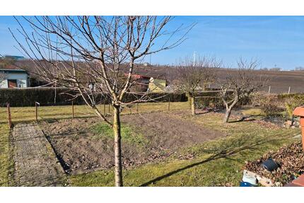 Kleingarten - 3.000,00&nbsp;EUR Kaltmiete, ca.&nbsp; 0,00&nbsp;m&sup2; in Prenzlau (PLZ: 17291)