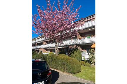 Provisionsfreie Eigentumswohnung EGSackasse Krefeld Bockum