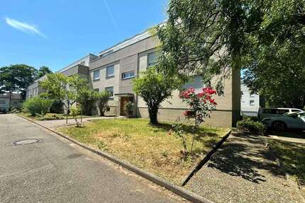 Wohnung zum Kaufen in Offenburg 286.000,00 € 79 m²