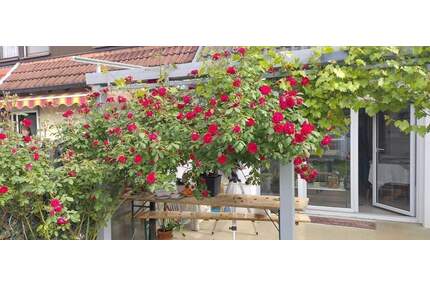 Modernes Reihenhaus in Tuttlingen zu verkaufen