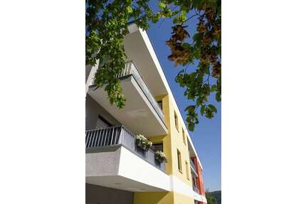 Wohnung zum Mieten in Aue 590,00 € 59 m²