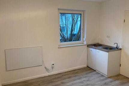 Renovierte 1-Zimmer Wohnung im EG in Marbach am Neckar