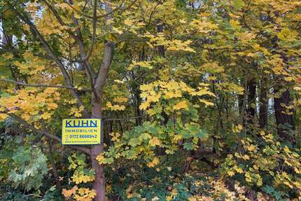 Grundstück zu verkaufen in Wendisch Rietz 180.000,00 € 1005 m²