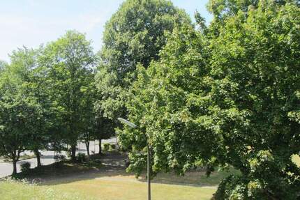 AlfterBonn *Wohlfühlwohnung* Aufzug!* SW-Loggia *Stellplatz* Barrierearm*renoviert! - Alfter / Bonn Oedekoven