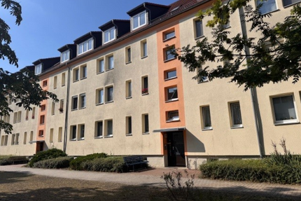 Wohnung zum Mieten in Borna 520,00 € 65 m²