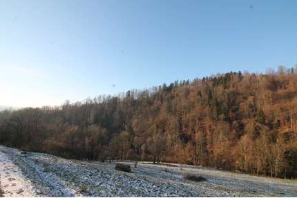 Grundstück zu verkaufen in Obernzell 356.840,00 € 35684 m²