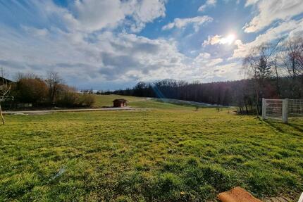 Einliegerwohnung Nähe Sinzing, ruhige Lage