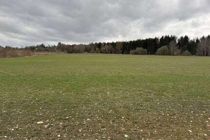 Grundstück in Moosthenning Lengthal 353.794,00 € 25271 m² - Moosthenning / Lengthal