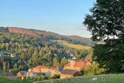 Haus zum Kaufen in Sebnitz 240.000,00 € 1336 m²