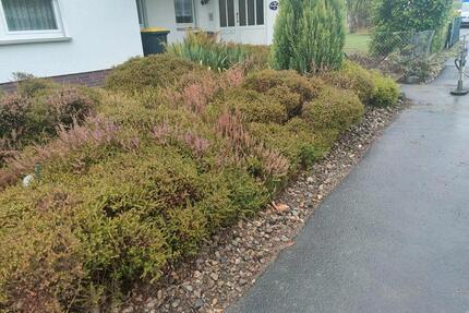 Einfamilienhaus mit Einliegerwohnung am Brasselsberg in Kassel
