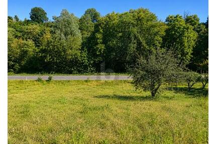 TOP LAGE IN WASSERALFINGEN - 314.000,00&nbsp;EUR Kaufpreis, ca.&nbsp; 785,00&nbsp;m&sup2; in Aalen (PLZ: 73433)