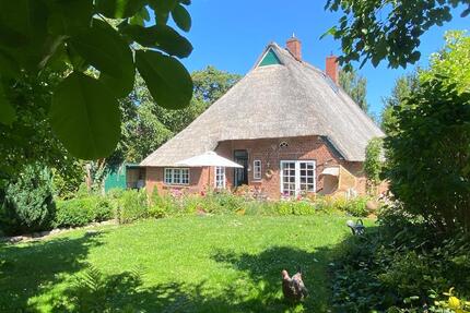 Reetdachhaus, Bauernhaus in der Lübecker BuchtOstsee - Neustadt in Holstein