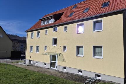 ***Wunderschöne 3-Zimmer Wohnung in Bad Harzburg***