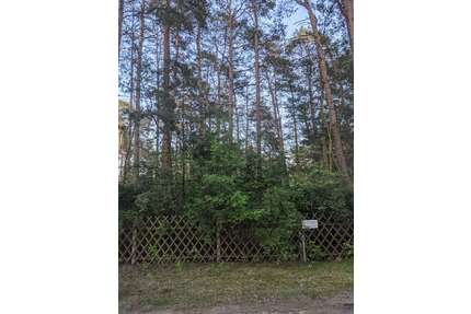 Grundstück in Borkwalde 53.000,00 € 1002 m²