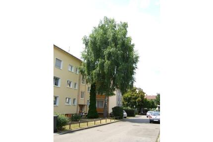 Gemütliche 2-Zimmer Wohnung mit Balkon in Hohenkreuz - Esslingen am Neckar Hegensberg