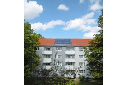 Wohnung zum Mieten in Braunschweig 504,74 € 65.55 m²