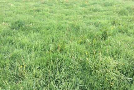 Gewerbegrundstück ca. 7.600 m² in Leipzig gegenüber von Amazon provisionsfreier Share Deal