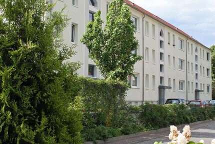 Wohnung zum Mieten in Lauta 247,00 € 46.9 m²