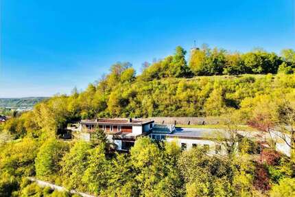 Haus zum Kaufen in Eltmann 990.000,00 € 850 m²