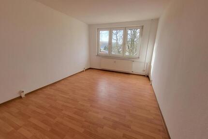 Gemütliche 1-Raum-Wohnung mit Tageslichtbad! - Laage