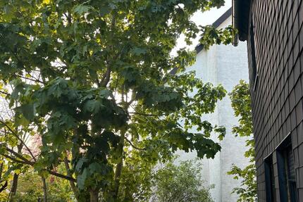 Zentrale 4-Zimmer Wohnung im EG mit Stellplatz – 108 m² in Brilon