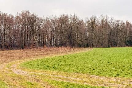 AUKTION: 0,4 ha Landwirtschafts- und Verkehrsfläche - Stolpen