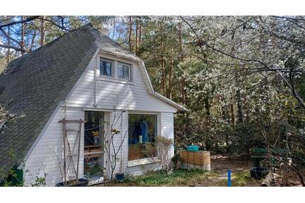 Waldgrundstrück mit Hütte und Garage - Brück