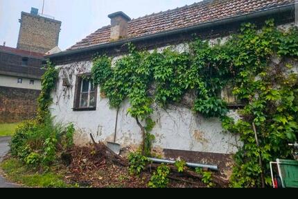 Eigentumswohnung Einliegerwohnung Erdgeschoss Wohnung Haus - Rothselberg