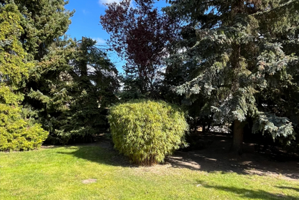 Grundstück zu verkaufen in Hoppegarten 244.000,00 € 537 m²